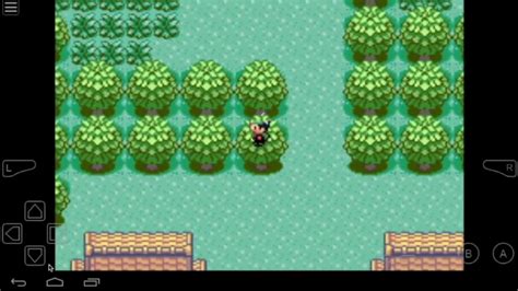 walk through walls cheat pokemon emerald|Walk through walls cheats for Pokemon Emerald on GBA.